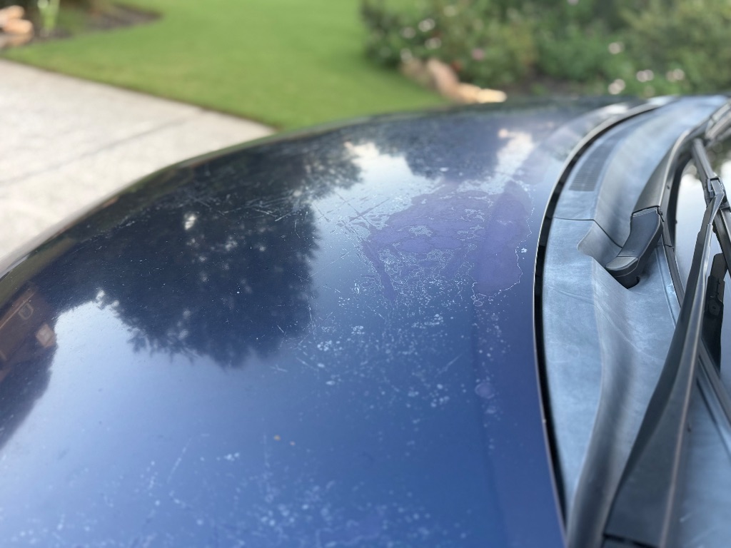 2012 Toyota Corolla - $6,000
