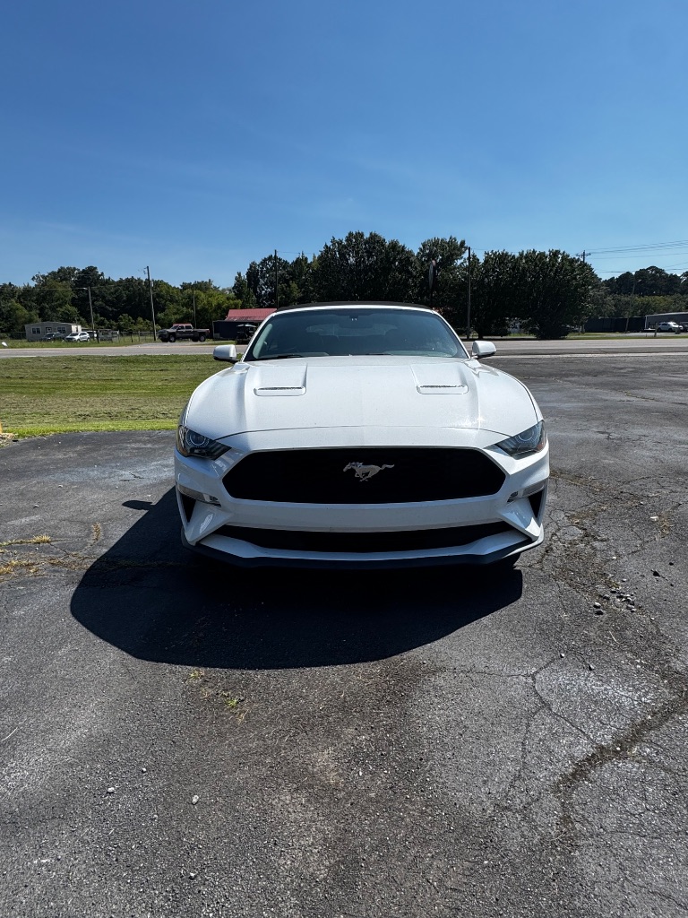 2019 Ford Mustang