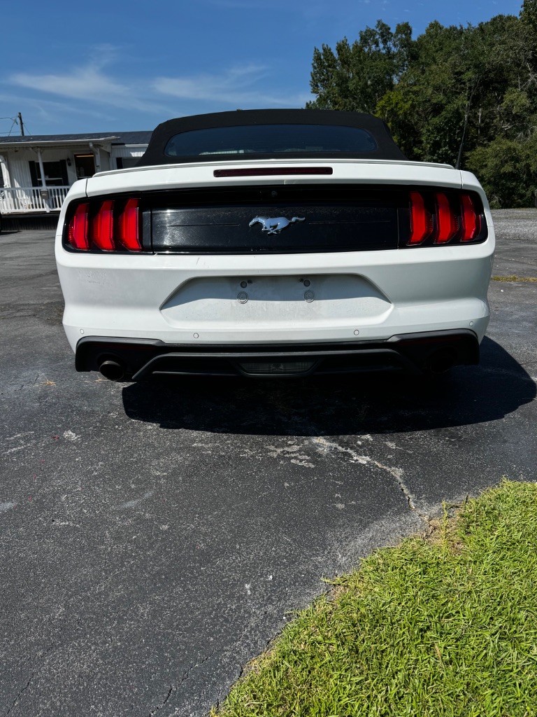 2019 Ford Mustang