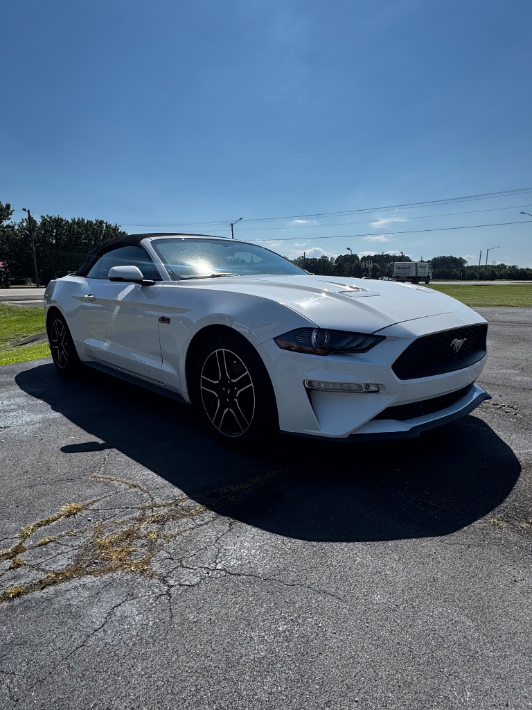 2019 Ford Mustang
