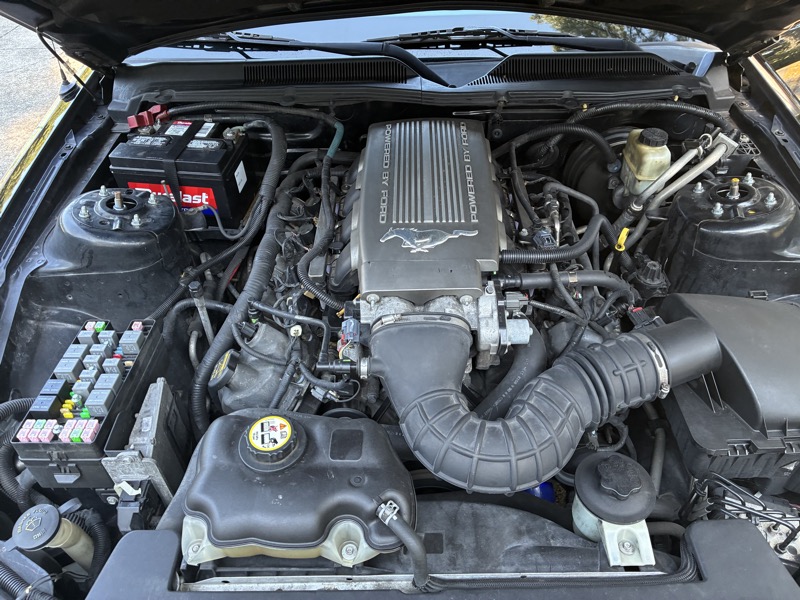 2009 Ford Mustang - $10,995