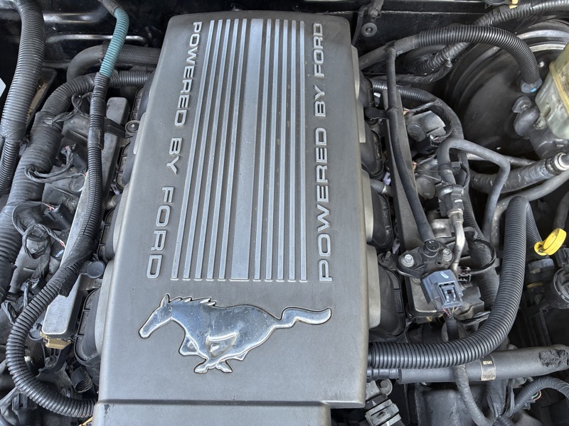 2009 Ford Mustang - $10,995