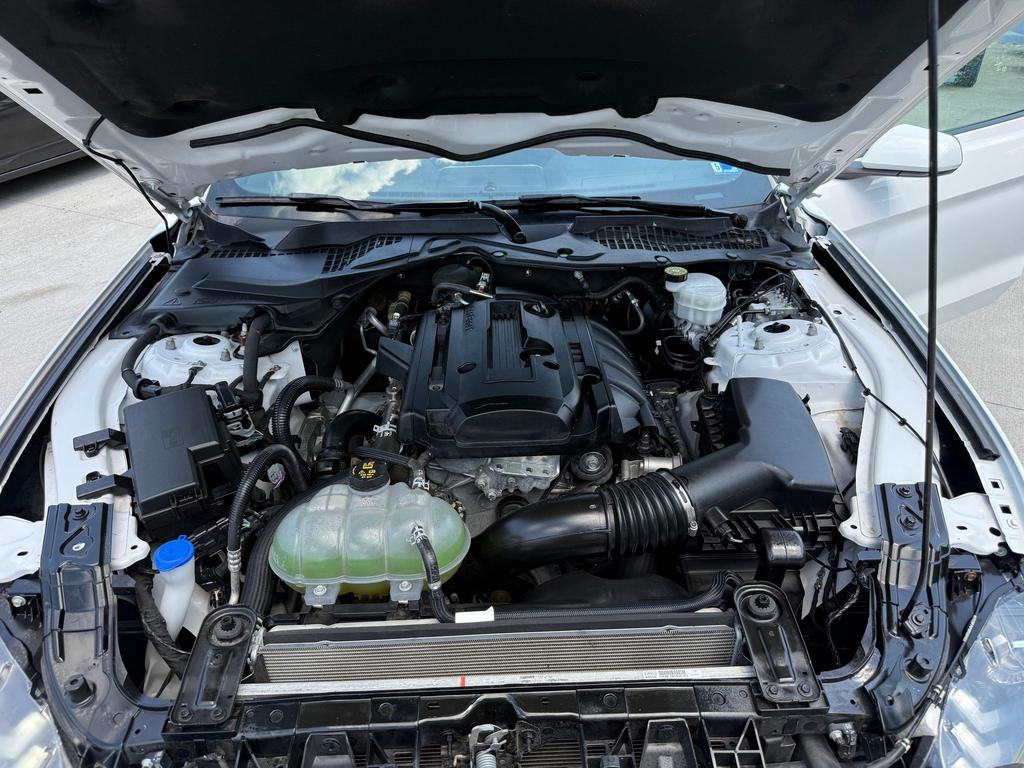 2020 Ford Mustang - $19,995