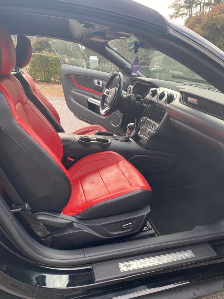 2019 Ford Mustang - $17,500
