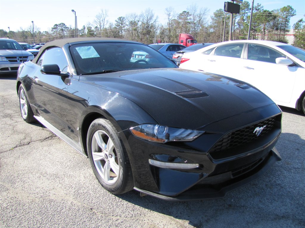 2020 Ford Mustang Eco photo