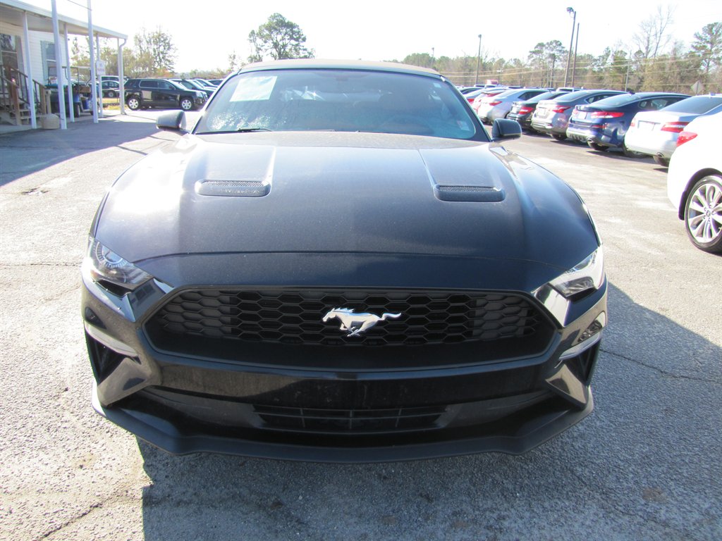 2020 Ford Mustang Eco photo