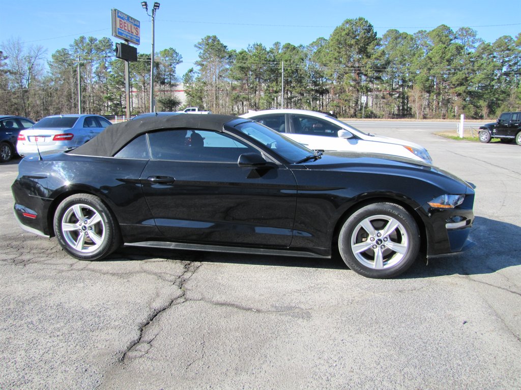 2020 Ford Mustang Eco photo