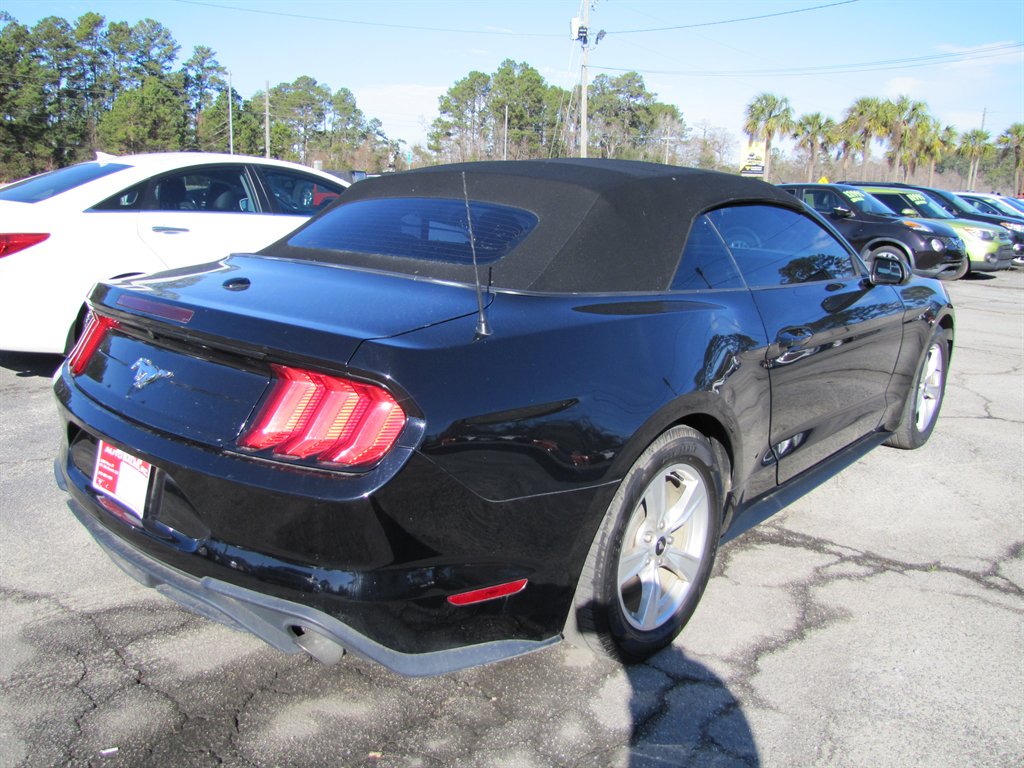 2020 Ford Mustang Eco photo