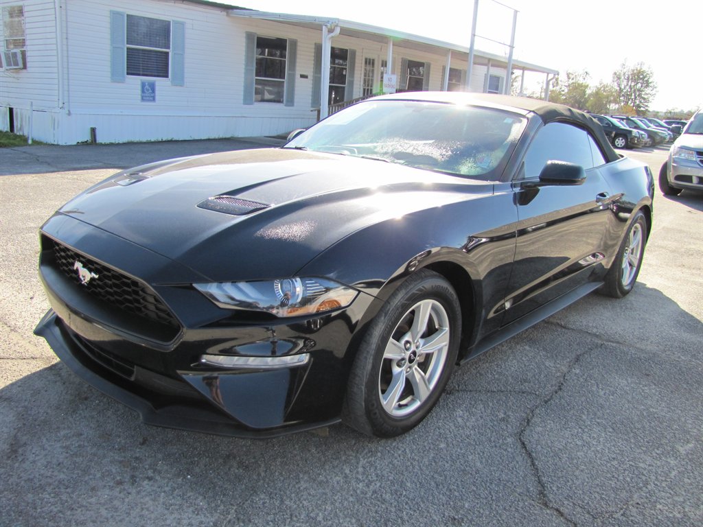 2020 Ford Mustang Eco photo
