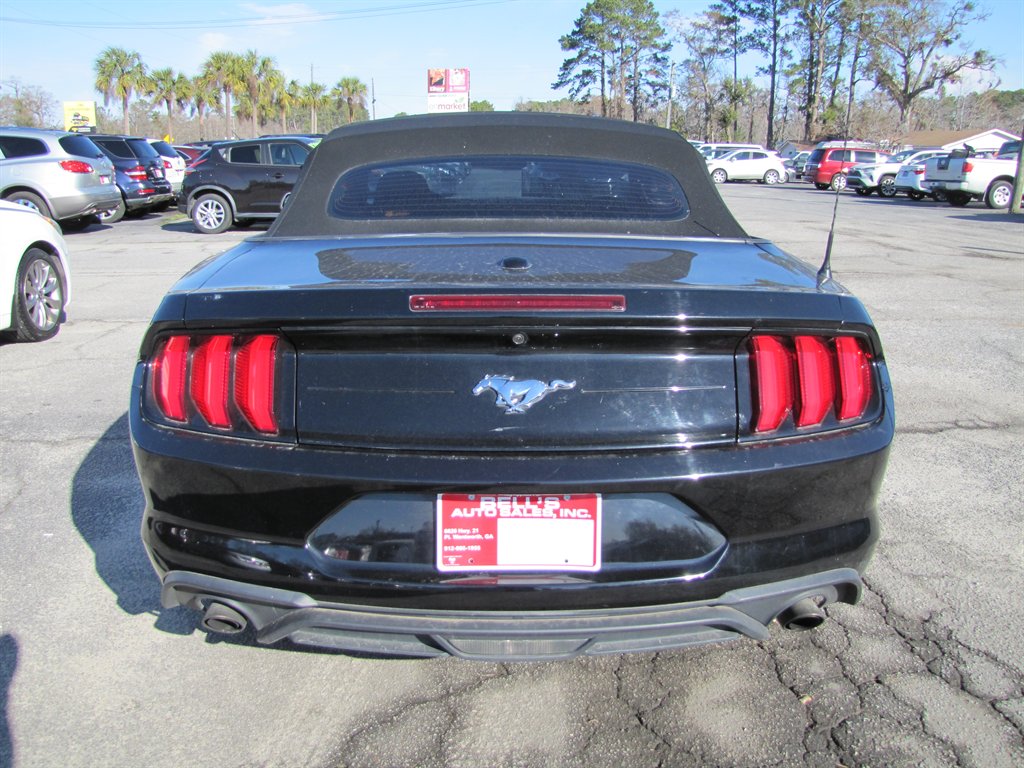 2020 Ford Mustang Eco photo