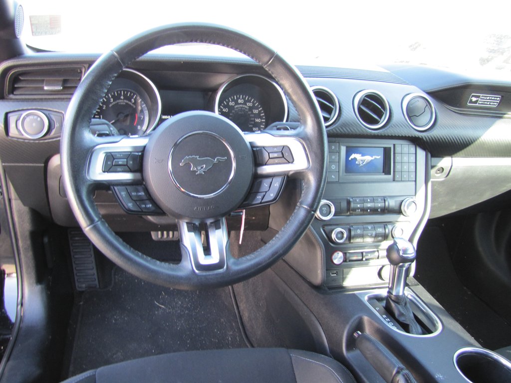 2020 Ford Mustang Eco photo